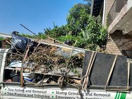 Best Dumpster Rental Services  in Wendell, ID